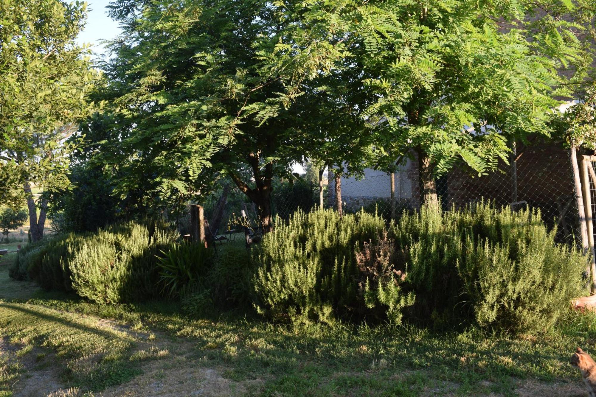 Il Saragio Villa Abbadia di Montepulciano Kültér fotó
