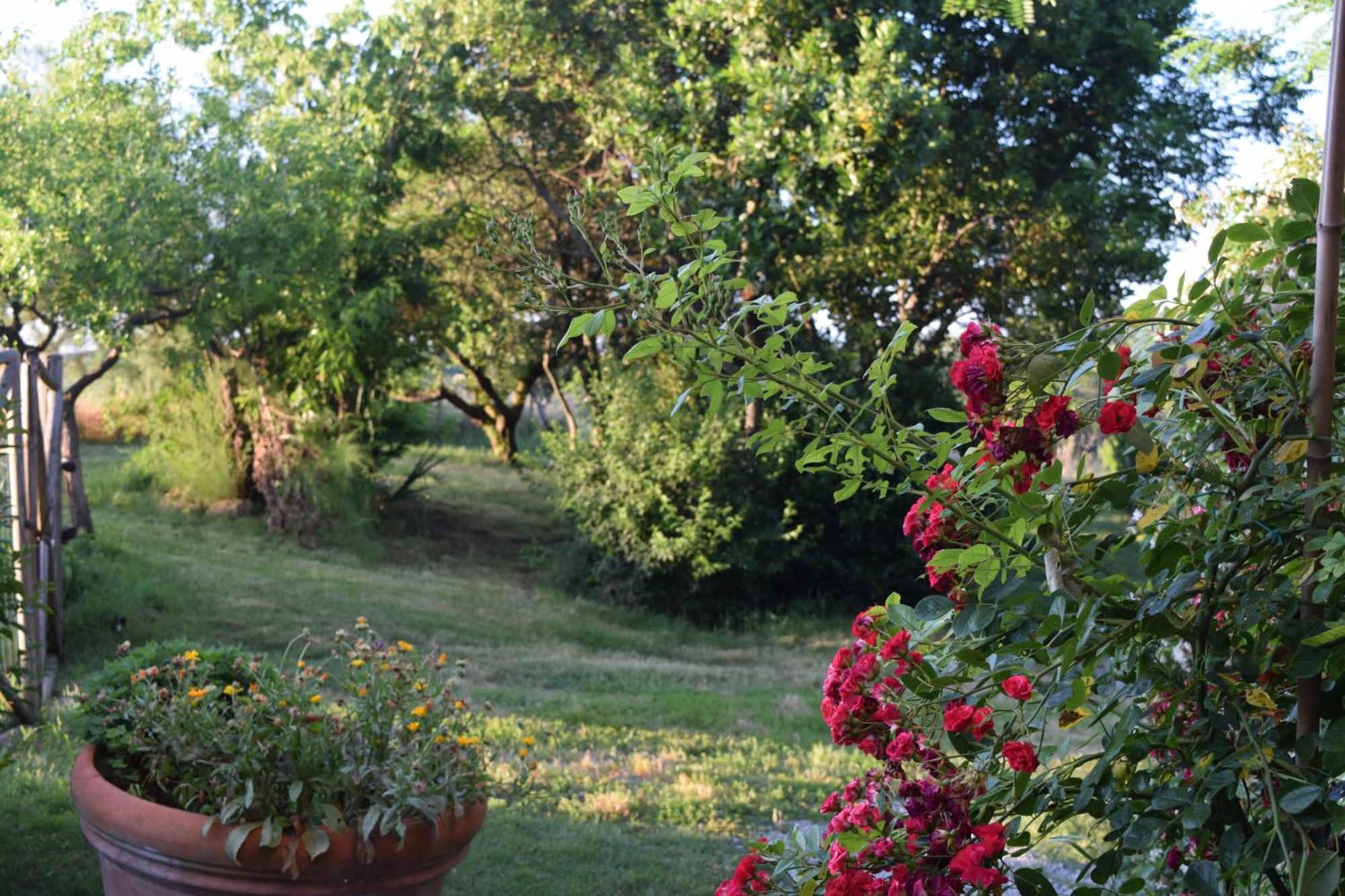 Il Saragio Villa Abbadia di Montepulciano Kültér fotó