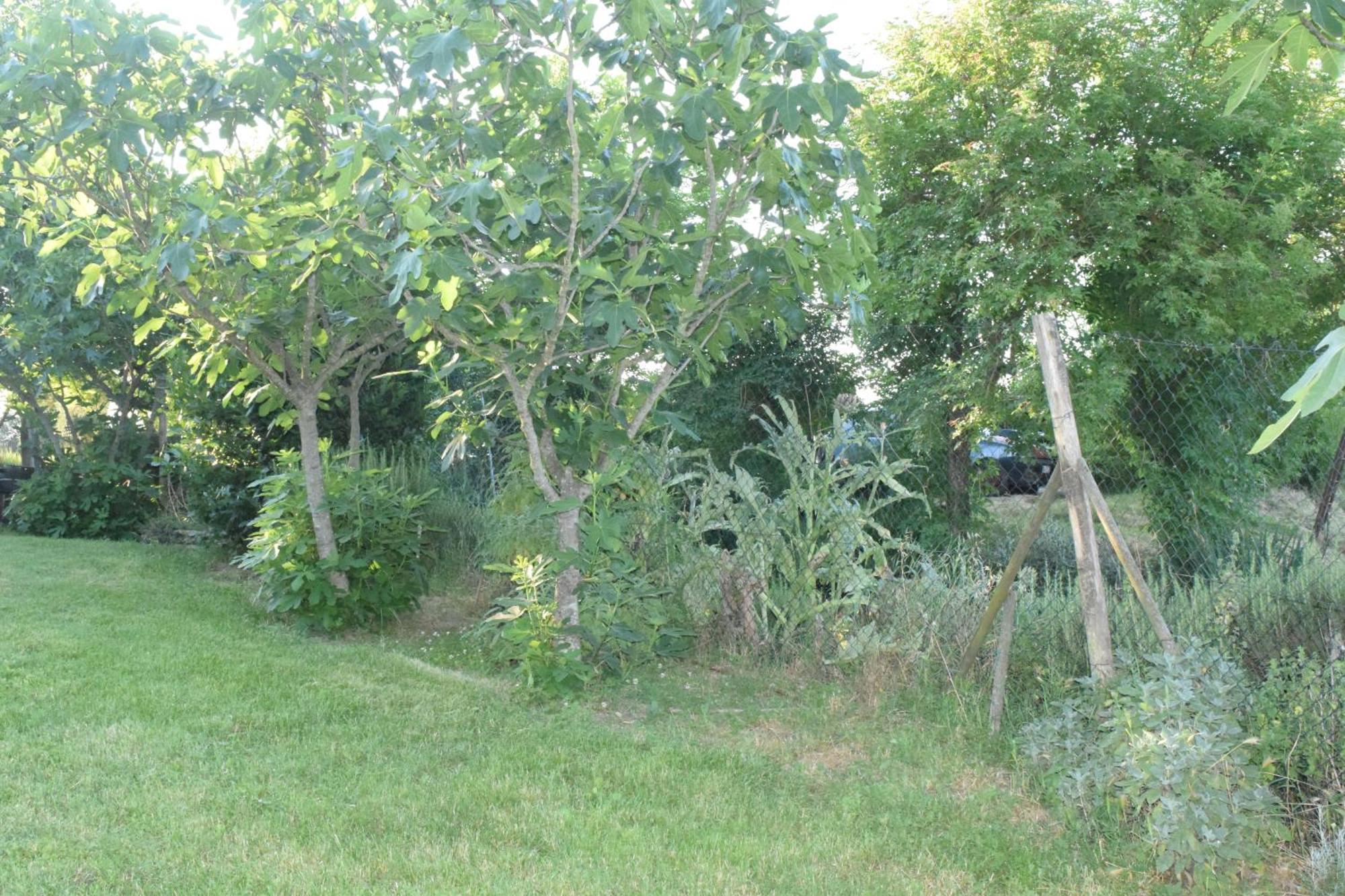 Il Saragio Villa Abbadia di Montepulciano Kültér fotó