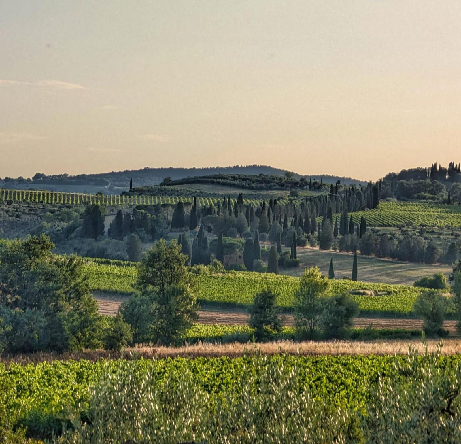 Il Saragio Villa Abbadia di Montepulciano Kültér fotó
